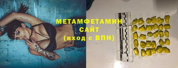 индика Новозыбков