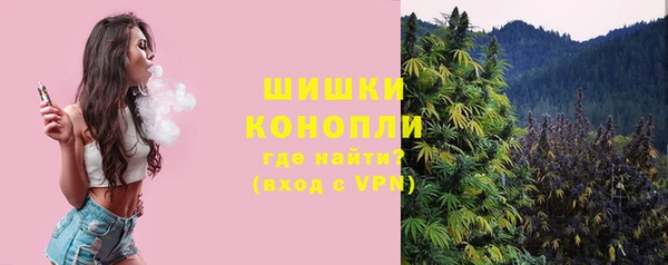 мескалин Новодвинск