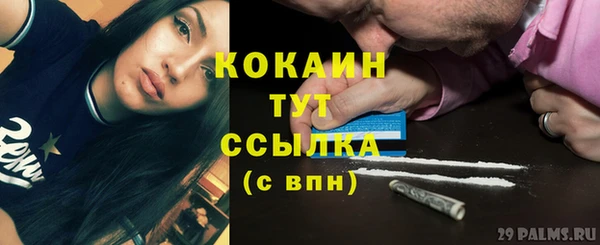 индика Новозыбков