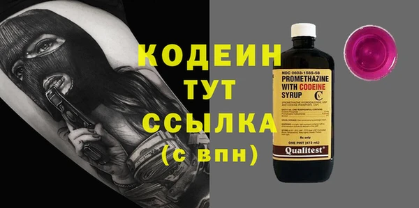индика Новозыбков