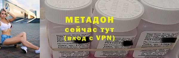 индика Новозыбков