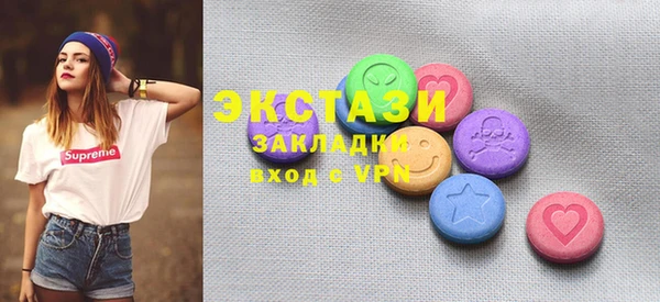 индика Новозыбков