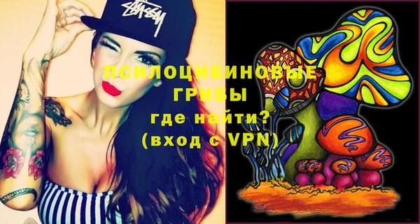 индика Новозыбков