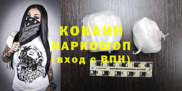 индика Новозыбков