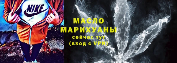 индика Новозыбков