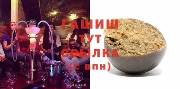 индика Новозыбков
