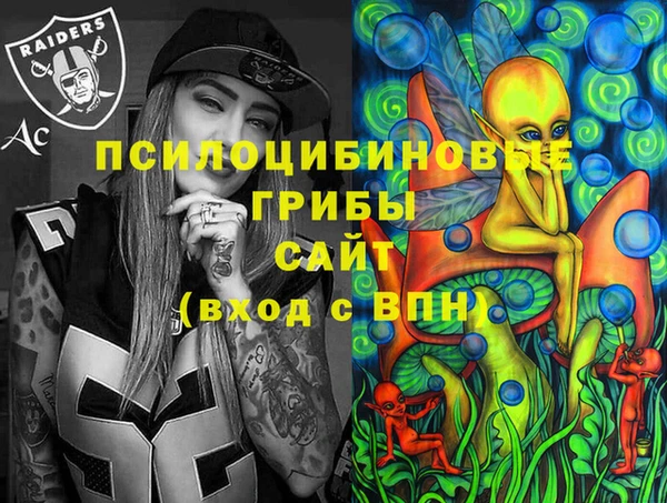 мескалин Новодвинск
