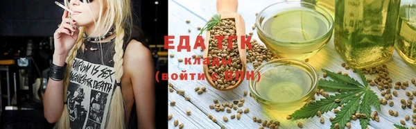 индика Новозыбков