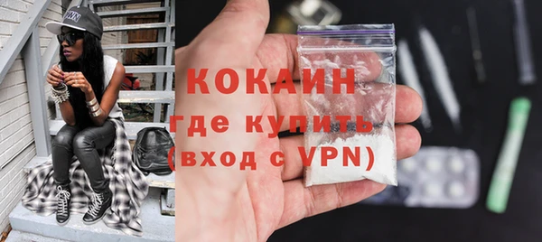 индика Новозыбков