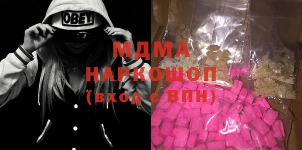индика Новозыбков
