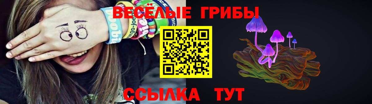 Псилоцибиновые грибы Magic Shrooms  что такое   Тобольск 